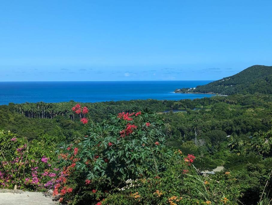 Tiare Tahiti Villa *